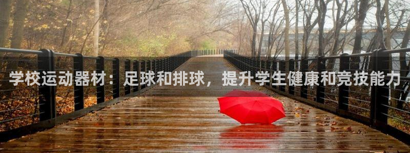 意昂3新能源：学校运动器材：足球和排球，提升学生健康