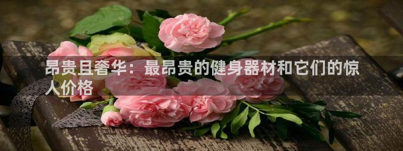 海南意昂体育3发展怎么样：昂贵且奢华：最昂贵的健身器