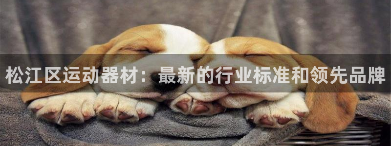 注册意昂3：松江区运动器材：最新的行业标准和领先品牌