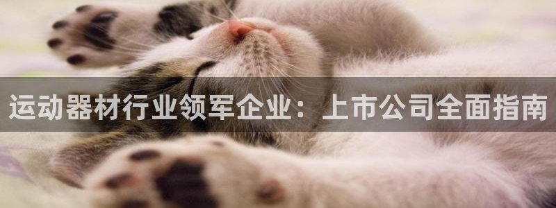 意昂体育3：运动器材行业领军企业：上市公司全面指南