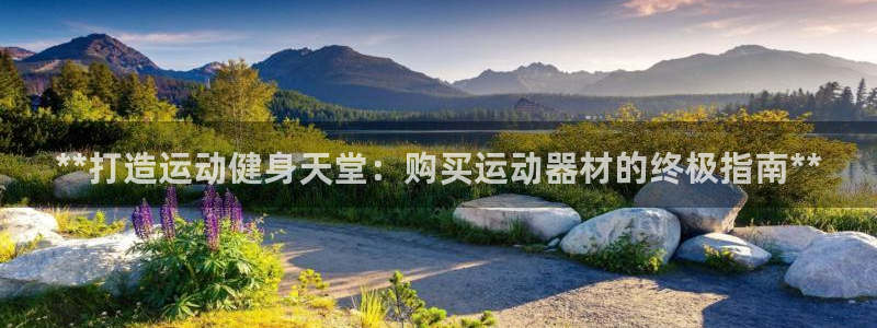 德国意昂3集团：**打造运动健身天堂：购买运动器材的