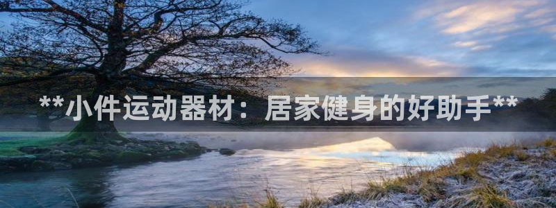 意昂体育3注册：**小件运动器材：居家健身的好助手*