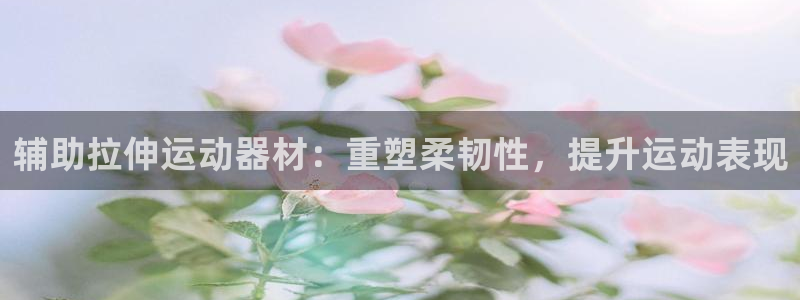 意昂集团官网：辅助拉伸运动器材：重塑柔韧性，提升运动