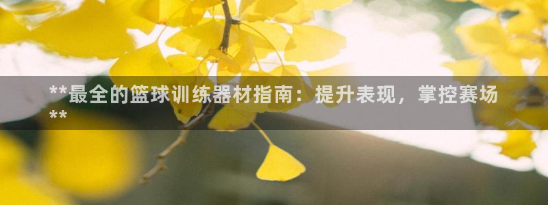 意昂体育3平台假的吗是真的吗：**最全的篮球训练器材