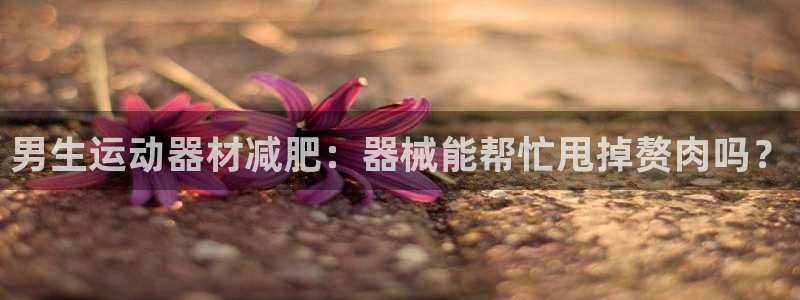 意昂3娱乐网站：男生运动器材减肥：器械能帮忙甩掉赘肉