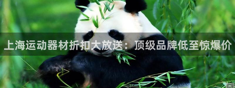 意昂体育3平台假的吗是真的吗吗：上海运动器材折扣大放