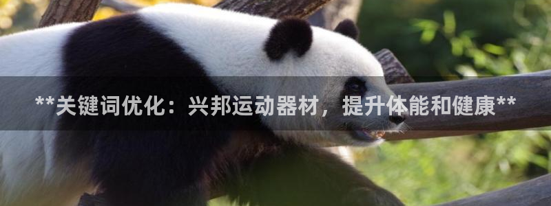 意昂体育3娱乐：**关键词优化：兴邦运动器材，提升体