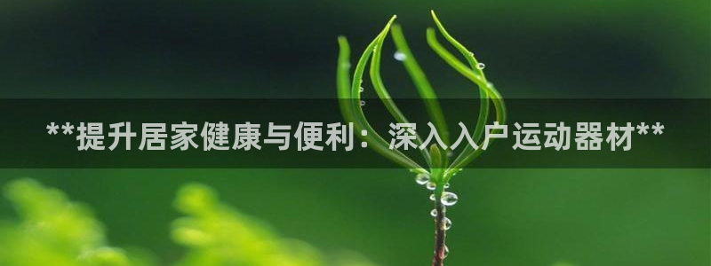 意昂集团官网：**提升居家健康与便利：深入入户运动器