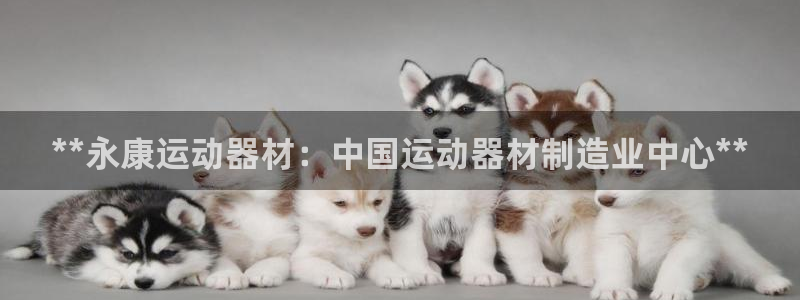 意昂3娱乐首页网站大全：**永康运动器材：中国运动器