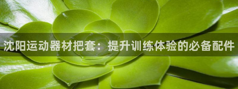 意昂体育3注册：沈阳运动器材把套：提升训练体验的必备