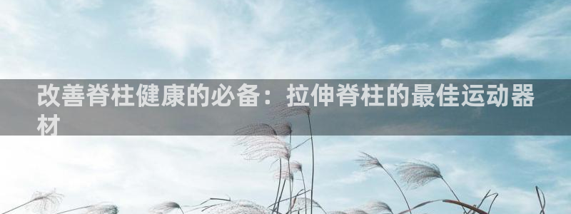 意昂3开户：改善脊柱健康的必备：拉伸脊柱的最佳运动器