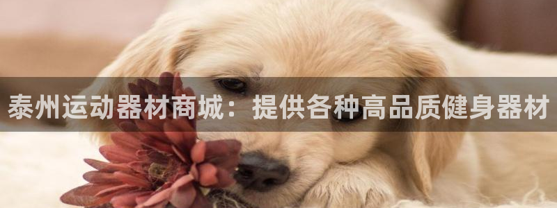 意昂体育3招商电话是多少啊：泰州运动器材商城：提供各