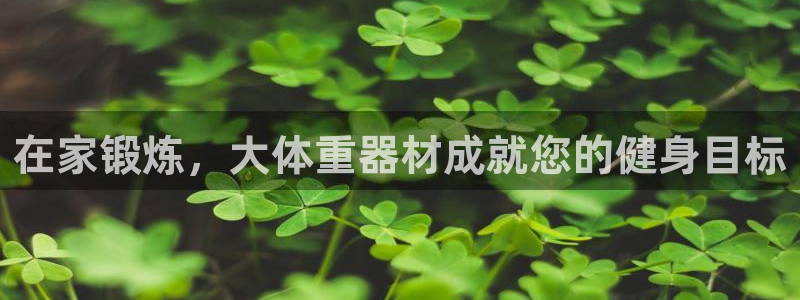 意昂体育3平台是正规平台吗：在家锻炼，大体重器材成就