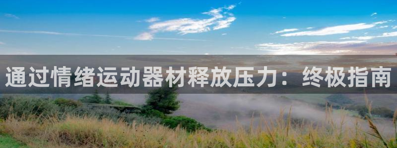 意昂3集团logo：通过情绪运动器材释放压力：终极指