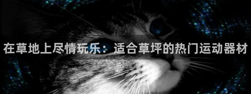 意昂3集团官网首页网址：在草地上尽情玩乐：适合草坪的