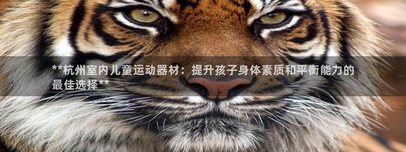 意昂3官方：**杭州室内儿童运动器材：提升孩子身体素