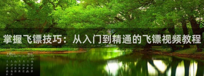 意昂3代理：掌握飞镖技巧：从入门到精通的飞镖视频教程