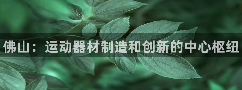 海南意昂体育3：佛山：运动器材制造和创新的中心枢纽