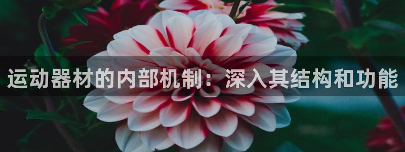 意昂3集团官网首页