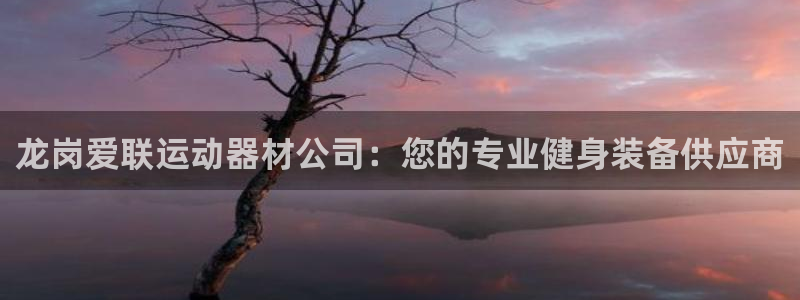 意昂3娱乐40996：龙岗爱联运动器材公司：您的专业