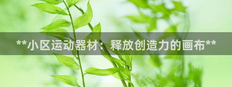 意昂3神州：**小区运动器材：释放创造力的画布**