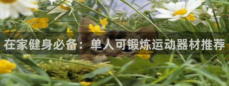意昂体育3招商电话号码查询是多少：在家健身必备：单人