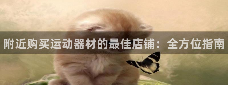 意昂3娱乐网站：附近购买运动器材的最佳店铺：全方位指