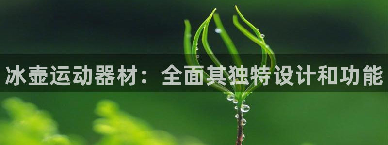 意昂体育3平台假的吗是真的吗吗：冰壶运动器材：全面其