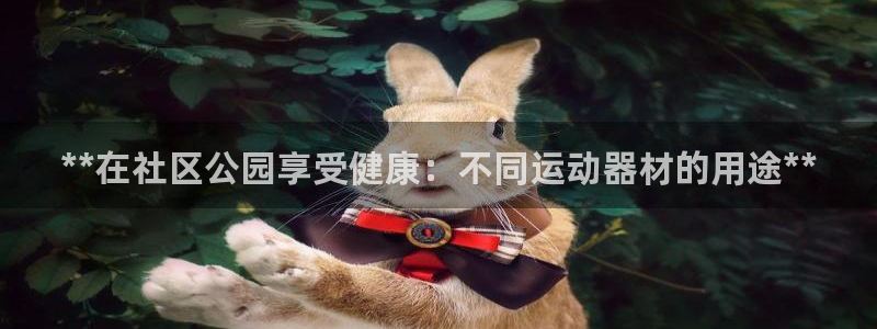 意昂3集团E.ON：**在社区公园享受健康：不同运动器材的用