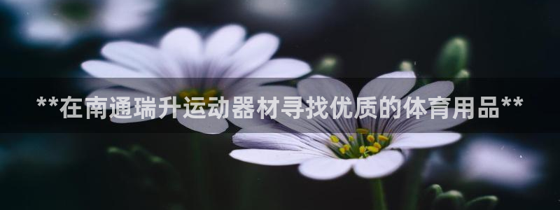 意昂3集团logo：**在南通瑞升运动器材寻找优质的