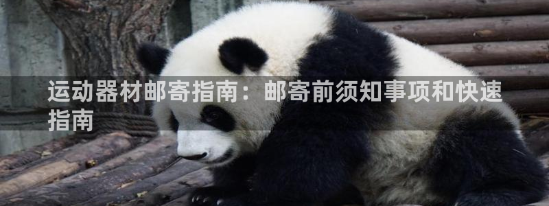 意昂体育3招商电话：运动器材邮寄指南：邮寄前须知事项