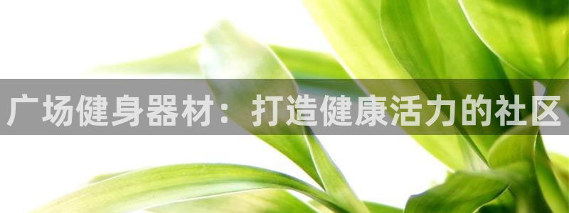 意昂3神州：广场健身器材：打造健康活力的社区