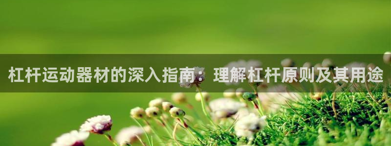 意昂3集团官网首页网址：杠杆运动器材的深入指南：理解