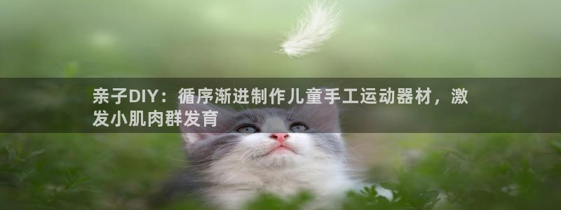意昂体育3招商电话地址：亲子DIY：循序渐进制作儿童