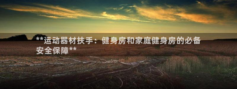 意昂集团官网：**运动器材扶手：健身房和家庭健身房的