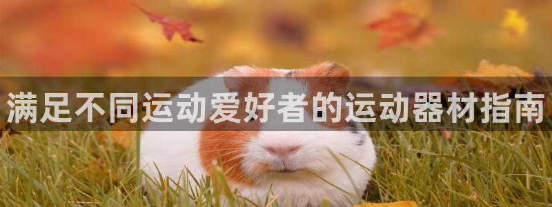 意昂3娱乐代理怎么样：满足不同运动爱好者的运动器材指