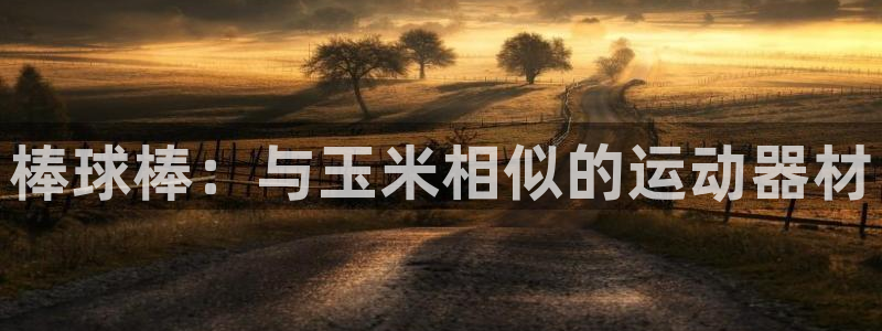 意昂集团官网：棒球棒：与玉米相似的运动器材