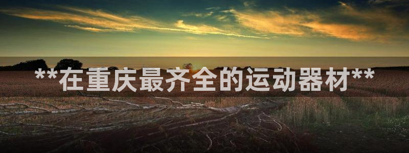 意昂3娱乐网站：**在重庆最齐全的运动器材**