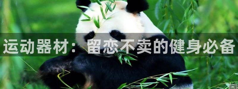 意昂集团官网：运动器材：留恋不卖的健身必备