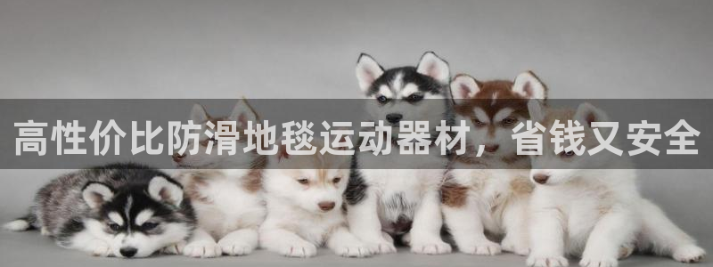 意昂体育3招商电话地址：高性价比防滑地毯运动器材，省钱又安全