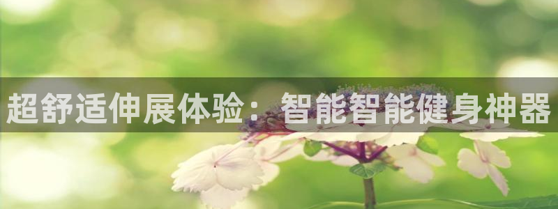 德国意昂3集团