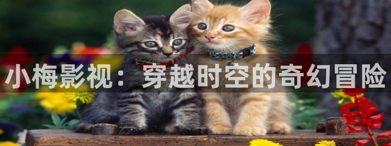 青苹果影院殇情