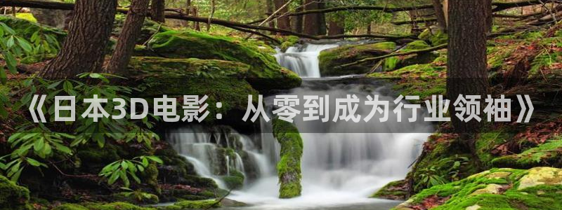 殇情影院6080