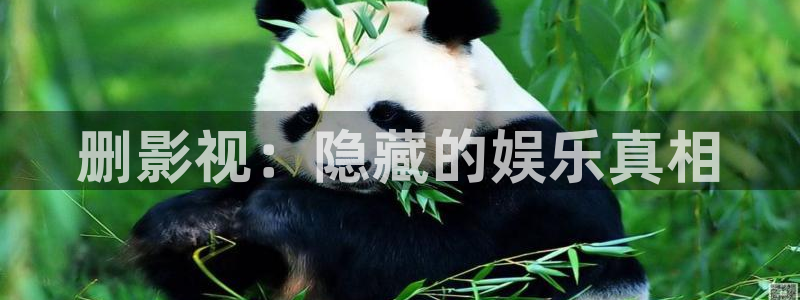殇情影院yy 6080