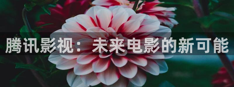 殇情影院4480