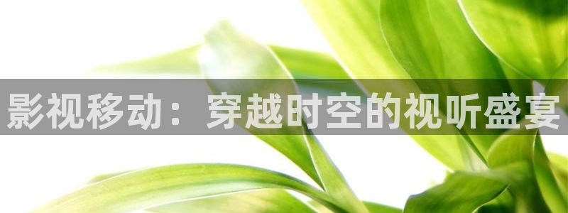 yy殇情影院